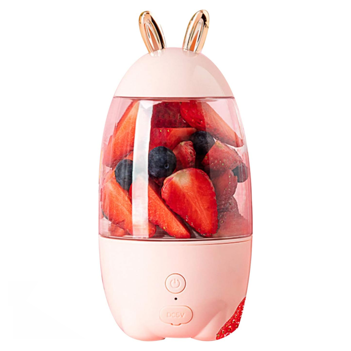 Mixeur portable PD-01